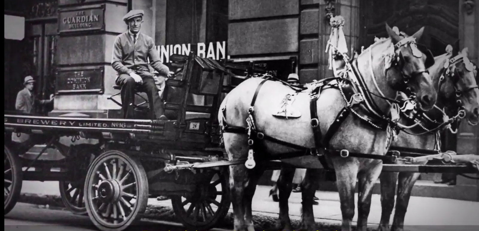 "Life and Times" - (The Molsons Story) 2003